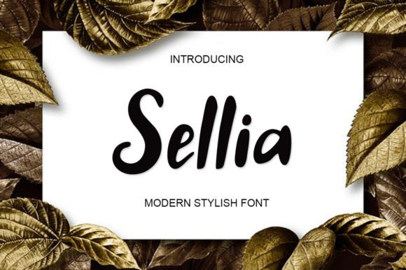 Exploring Sellia: A Fresh and Fun Handwritten Font