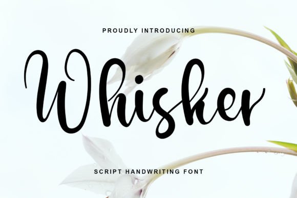 Whisker: A Delicate Script Font for Editorial Elegance