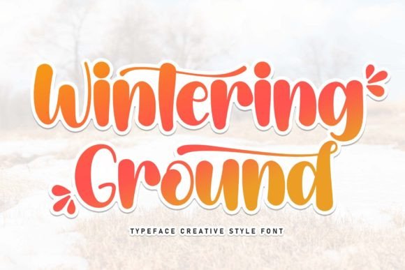 Wintering Ground: A Versatile Font for Creative Campaigns